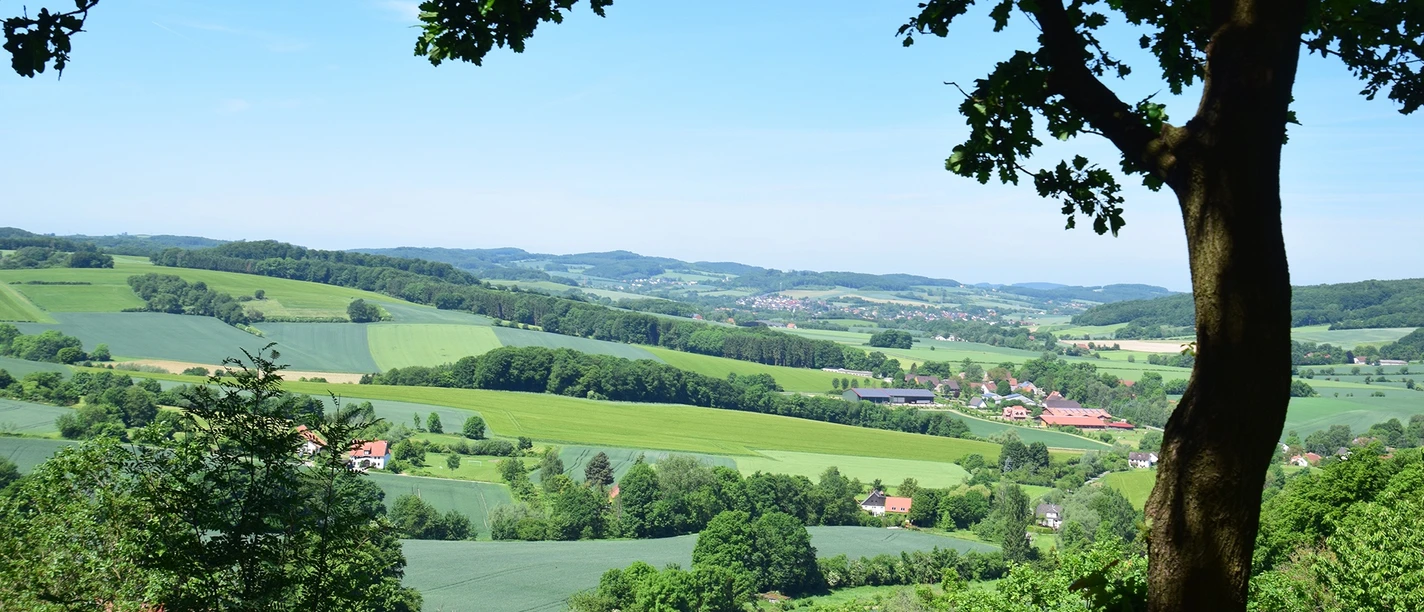 Blick durch Bäume auf eine weitläufige grüne Landschaft mit Feldern, Hügeln und kleinen Dörfern.