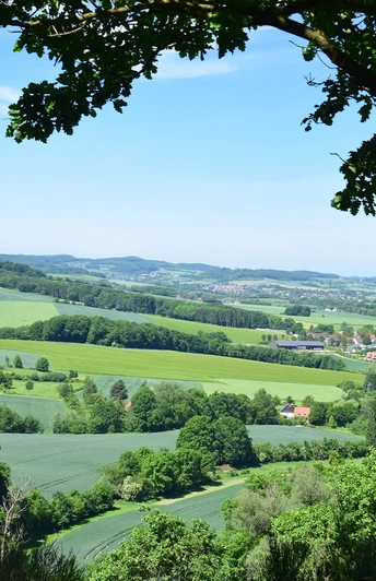 Blick durch Bäume auf eine weitläufige grüne Landschaft mit Feldern, Hügeln und kleinen Dörfern.