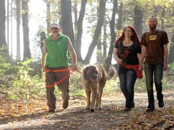 Drei Personen und ein großer Hund spazieren entspannt auf einem Waldweg im herbstlichen Licht.