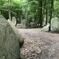 Findlings Wald Findlings Wald bei 52.41°N, 9.10°O: Große, moosbedeckte Steine stehen inmitten eines lichten Waldes.