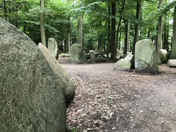 Findlings Wald Findlings Wald bei 52.41°N, 9.10°O: Große, moosbedeckte Steine stehen inmitten eines lichten Waldes.