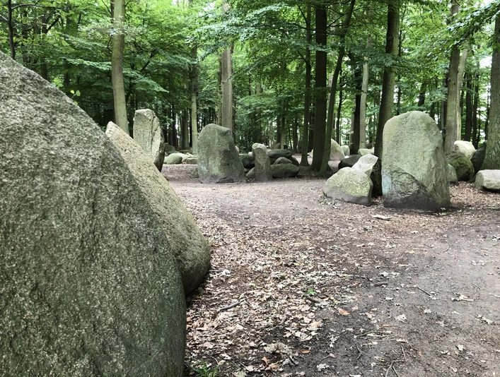 Findlings Wald Findlings Wald bei 52.41°N, 9.10°O: Große, moosbedeckte Steine stehen inmitten eines lichten Waldes.
