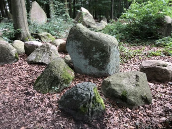 Der Findlingswald Neuenknick Der Findlingswald Neuenknick