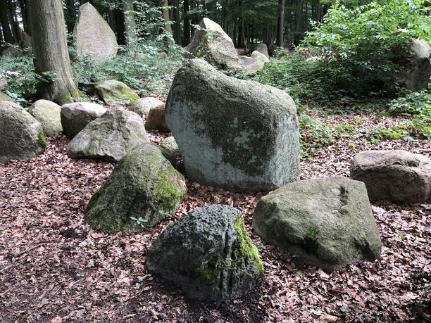 Der Findlingswald Neuenknick Der Findlingswald Neuenknick