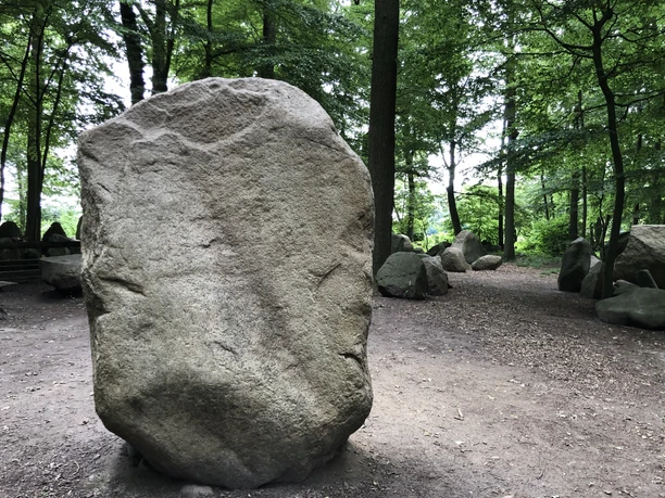 Findlings Wald Ein großer Findling steht umgeben von hohen Bäumen und weiteren Steinen auf einem Waldweg.