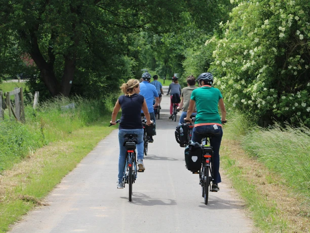 Geführte Radtour Radfahrergruppe auf schmalem, asphaltiertem Weg durch grüne, naturreiche Landschaft unterwegs.