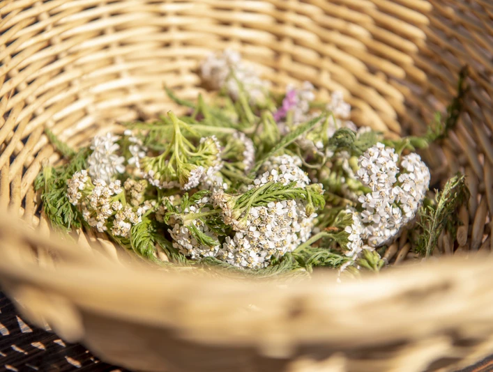 Gletschiprogramm - beim Chrittergägsli