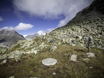Kraftort in der Aletsch Arena