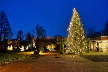 lichterwochen-bad-zwischenahn-terrasse-wandelhalle.jpg Beleuchteter Weihnachtsbaum vor der Wandelhalle Bad Zwischenahn bei Abenddämmerung.