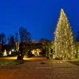 lichterwochen-bad-zwischenahn-terrasse-wandelhalle.jpg Beleuchteter Weihnachtsbaum vor der Wandelhalle Bad Zwischenahn bei Abenddämmerung.Illuminated Christmas tree in front of the Wandelhalle Bad Zwischenahn at dusk.Oplyst juletræ foran Wandelhalle Bad Zwischenahn i skumringen.Verlichte kerstboom voor de Wandelhalle Bad Zwischenahn bij schemering.