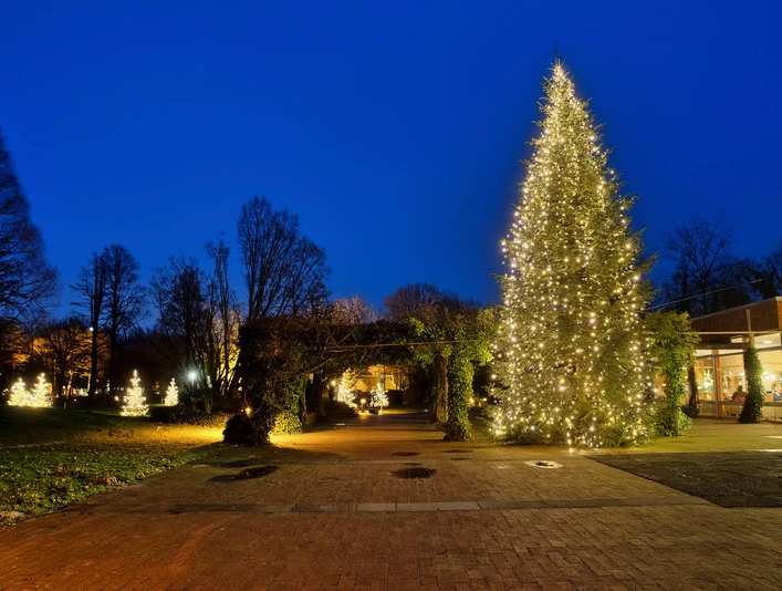lichterwochen-bad-zwischenahn-terrasse-wandelhalle.jpg Beleuchteter Weihnachtsbaum vor der Wandelhalle Bad Zwischenahn bei Abenddämmerung.Illuminated Christmas tree in front of the Wandelhalle Bad Zwischenahn at dusk.Oplyst juletræ foran Wandelhalle Bad Zwischenahn i skumringen.Verlichte kerstboom voor de Wandelhalle Bad Zwischenahn bij schemering.