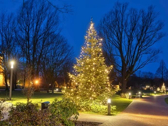 lichterwochen-kurpark-bad-zwischenahn.jpg Weihnachtlich beleuchteter Kurpark in Bad Zwischenahn mit Windmühle und Lichterbäumen im Abendlicht.