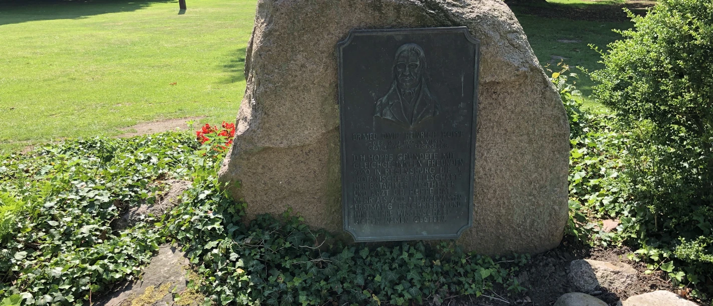 Gedenkstein Hoppe Gedenkstein mit Inschrift und Relief in einem ruhigen Park, von Pflanzen und Bäumen umgeben.
