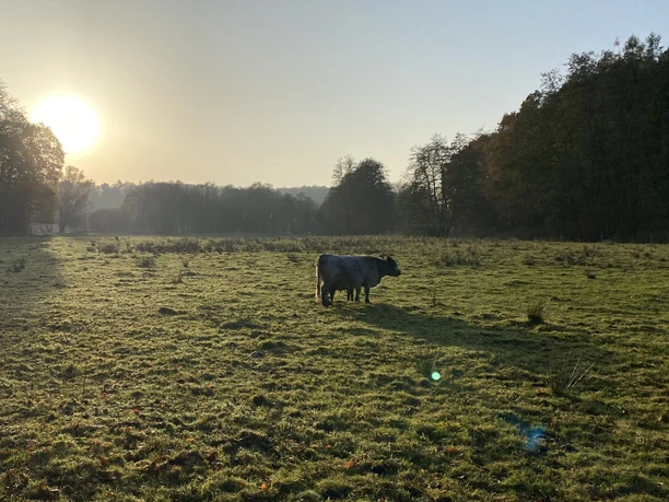 Pirschbachtal bei Mölln Pirschbachtal bei Mölln