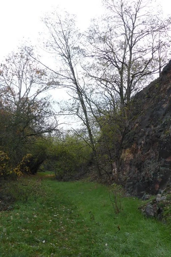 Wettin_naturlehrpfad_Naturpark_c_johannes_mueller