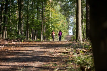 Wandern in Buer