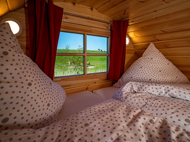Campingplatz - Campingfass Blick auf den Deich Blick aus dem Campingfass auf den grünen Deich mit weidenden Kühen unter blauem Himmel.