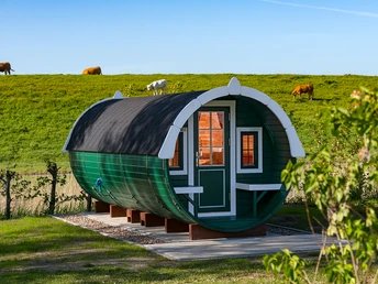 Campingplatz See Achtern Diek - Campingfass Grünes Campingfass mit dunklem Dach vor grünem Deich mit weidenden Rindern unter blauem Himmel.