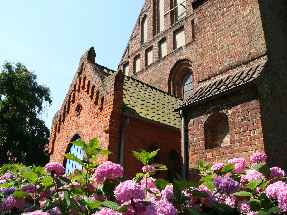 Kirche St. Cosmae und Damiani Backsteinkirche mit hübschen Dachfirsten und Rosen im Vordergrund unter klarem blauem Himmel.