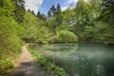 Grüner See in Melle-Buer Grüner See in Melle-Buer