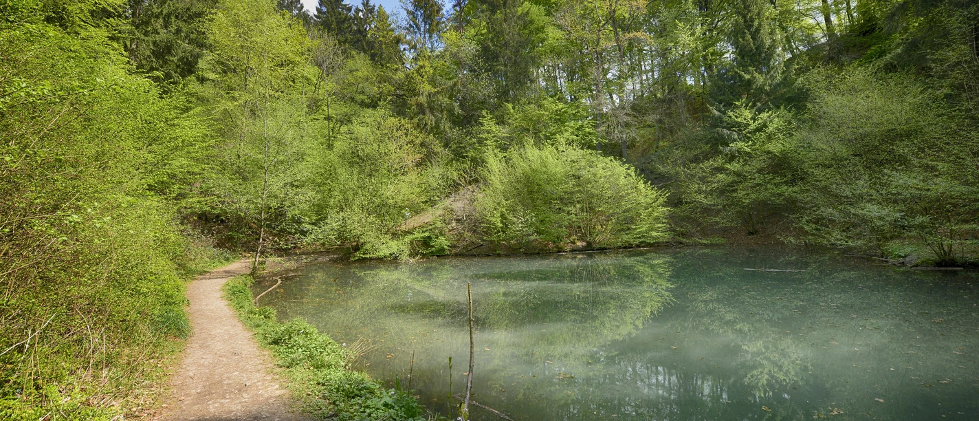 Grüner See in Melle-Buer Grüner See in Melle-Buer