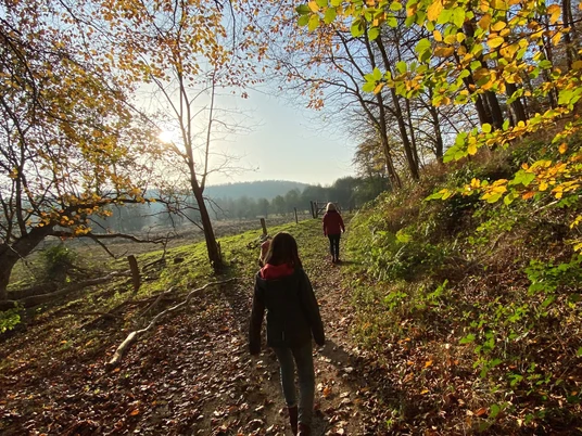 Unterwegs im Pirschbachtal