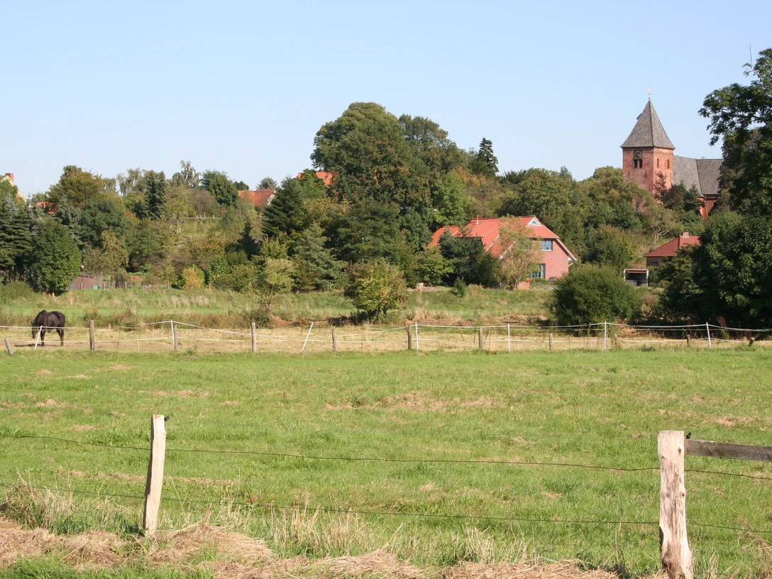St.-Sigismund-Kirche in Daverden Grüne Wiesen mit Pferd vor der St.-Sigismund-Kirche in Daverden, umgeben von Bäumen und Gebäuden.