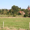St.-Sigismund-Kirche in Daverden Grüne Wiesen mit Pferd vor der St.-Sigismund-Kirche in Daverden, umgeben von Bäumen und Gebäuden.