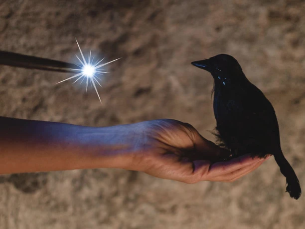 Harz-Escape in Wernigerode - Zauberprüfung Rabe Harz-Escape in Wernigerode - Zauberprüfung Rabe