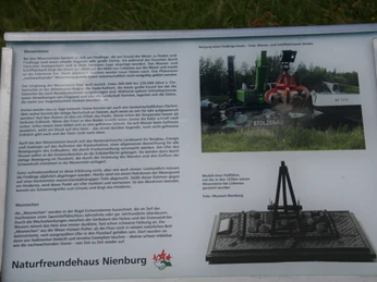 Wesersteine Info-Tafel mit Ausgrabungsbild und kleinem Modell des Fundortes vor einem Waldhintergrund.