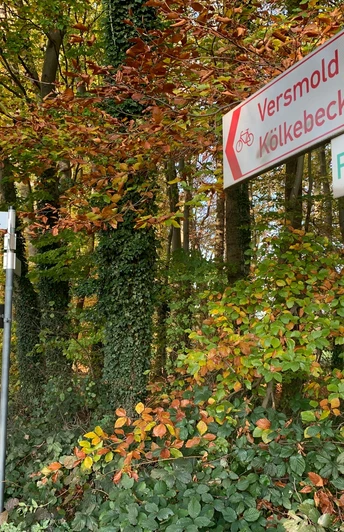 Wegweisung am R 17 Wegweisende Landschaft im Herbst mit rot-goldenem Laub und Radweg-Schildern nach Versmold und Kölkebeck.