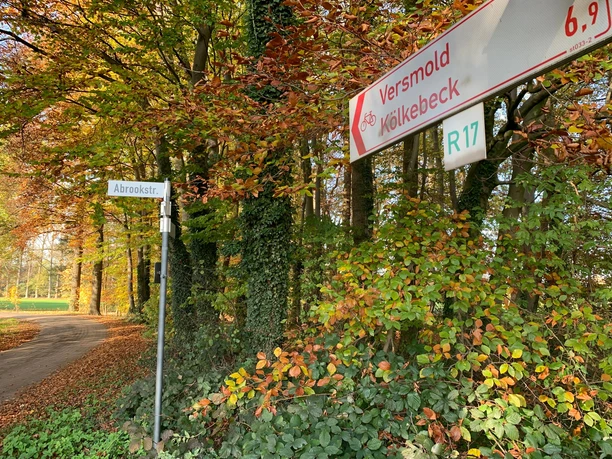 Wegweisung am R 17 Wegweisende Landschaft im Herbst mit rot-goldenem Laub und Radweg-Schildern nach Versmold und Kölkebeck.