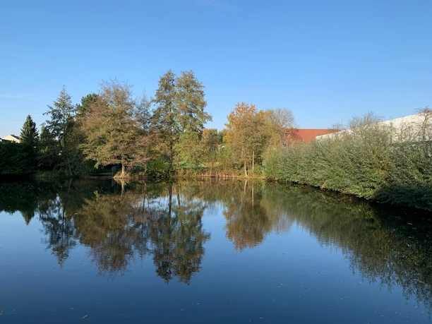 Teich im Ortskern Steinhagens Ein ruhiger Teich umgeben von Herbstbäumen, die sich im spiegelglatten Wasser widerspiegeln.