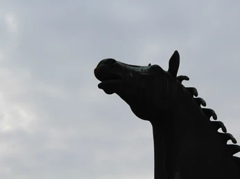 Wiehernder Hengst Die Silhouette eines Pferdekopfes mit geöffnetem Maul, der Kopf ist in die Luft gerichtet, Wolken im Hintergrund.