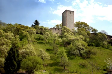 Greener Burg Außenansicht der Ruine der ehemaligen Burg Greene.