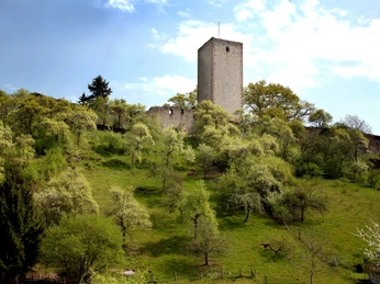 Greener Burg Außenansicht der Ruine der ehemaligen Burg Greene. Exterior view of the ruins of the former Greene Castle.Udsigt til ruinerne af det tidligere Greene Castle.Buitenaanzicht van de ruïnes van het voormalige Greene Castle.