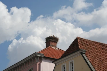 Störche auf dem Storchenhaus Ein Storchennest thront auf einem Dach, umgeben von blühenden rosa und gelben Gebäuden unter blauem Himmel.