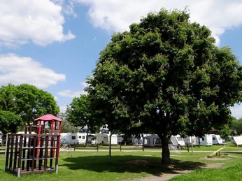 Camping Berger Großer, grüner Baum auf dem Campingplatz, mit Wohnwagen im Hintergrund bei sonnigem Himmel.Large, green tree on the campsite, with caravan in the background under a sunny sky.