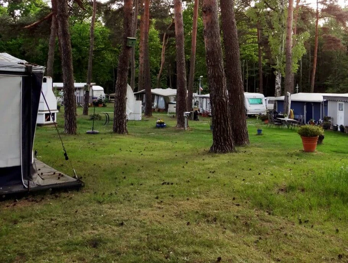 Waldbad und Camping Das Bild zeigt einen Campingplatz mit mehreren Wohnwagen und Zelten unter hohen Kiefern. Die Umgebung ist von grüner Wiese und dichtem Wald geprägt.The picture shows a campsite with several caravans and tents under tall pine trees. The surrounding area is characterized by green meadows and dense forest.