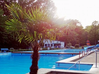 Forest swimming pool and camping Im Vordergrund des Bildes steht eine prächtige Palme, die vor einem weitläufigen, einladend blauen Schwimmbecken mit Sprungturm inmitten üppiger Natur zu sehen ist.In the foreground of the picture is a magnificent palm tree, which can be seen in front of a spacious, inviting blue swimming pool with a diving platform surrounded by lush nature.