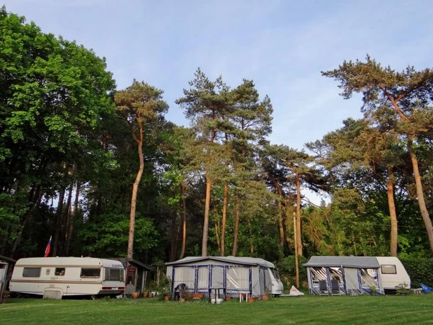 Waldbad und Camping Zwei Wohnwagen und Vorzelte auf einem grasbewachsenen Campingplatz umgeben von hohen Kiefern.