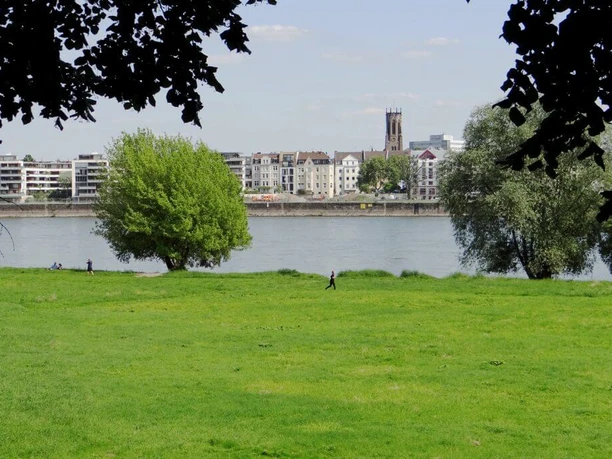 View from the motorhome port View of the motorhome port in Riehl with the Rhine and green meadow, framed by trees.