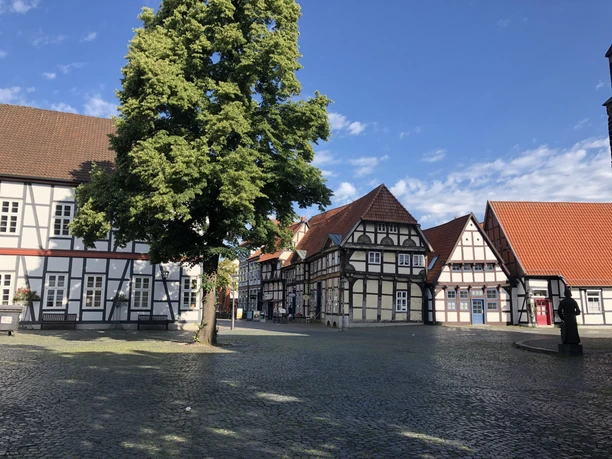 Fachwerkhäuser umrahmen einen gepflasterten Platz mit einem großen grünen Baum im sonnigen Nienburg.