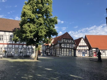 Kirchplatz Nienburg Fachwerkhäuser umrahmen einen gepflasterten Platz mit einem großen grünen Baum im sonnigen Nienburg.