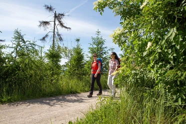 Wandern in Melle