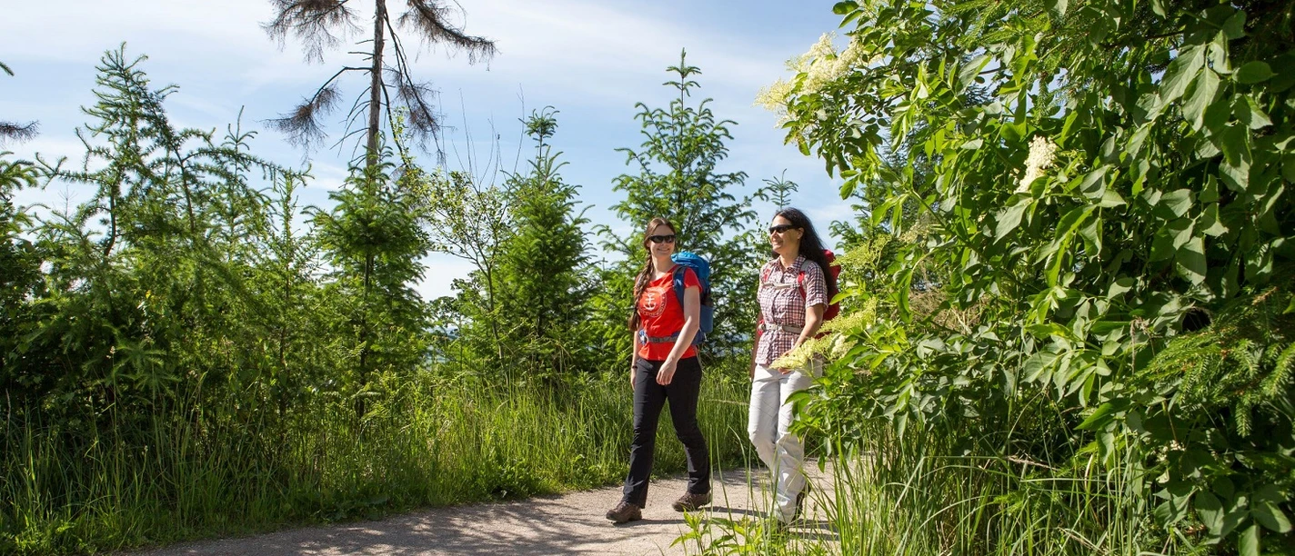 Wandern in Melle
