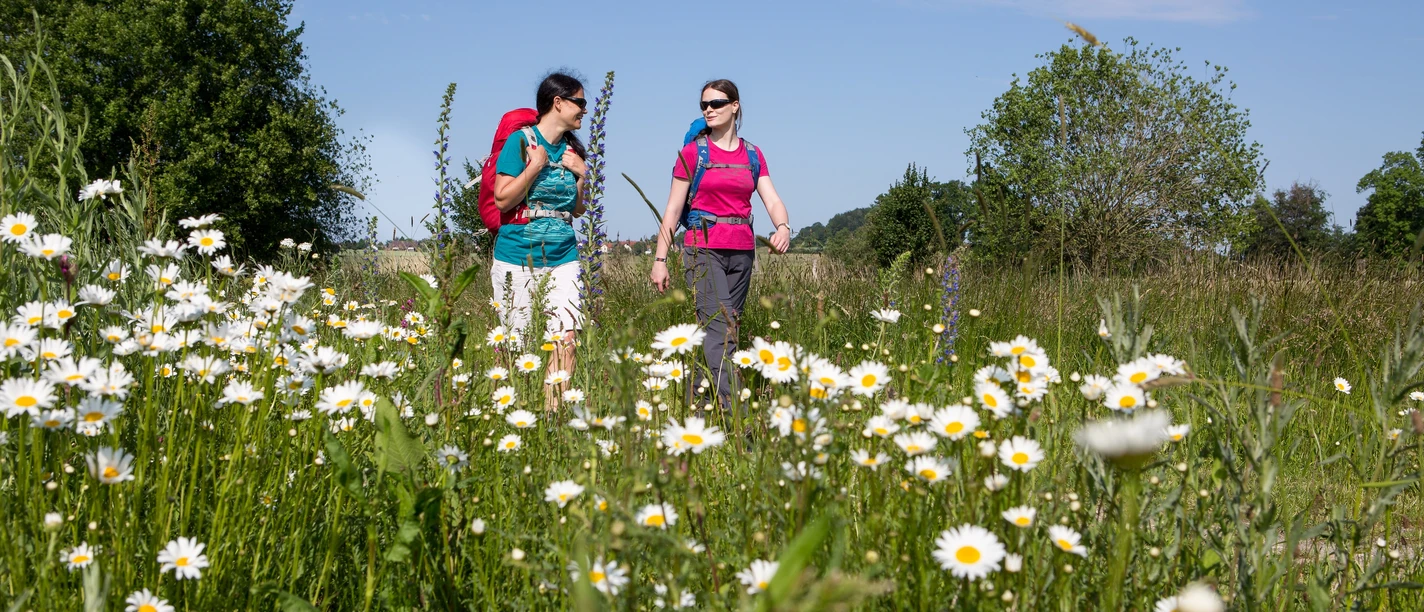 Wandern auf in Neuenkirchen Wandern auf in Neuenkirchen
