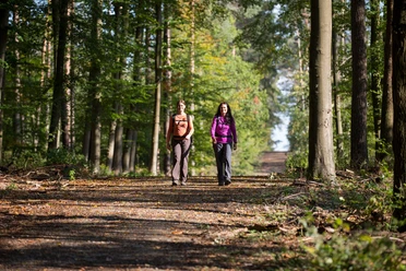 Wandern
