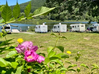 Wohnmobile stehen am Ufer eines Sees, umgeben von grüner Natur und blühenden Blumen im Vordergrund.
