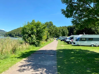 Wohnmobilhafen und Campingplatz am SchiederSee Wohnmobile und Wohnwagen stehen entlang eines grasbewachsenen Weges am Seeufer, umgeben von Bäumen.